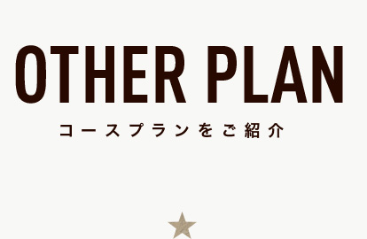OTHER PLAN