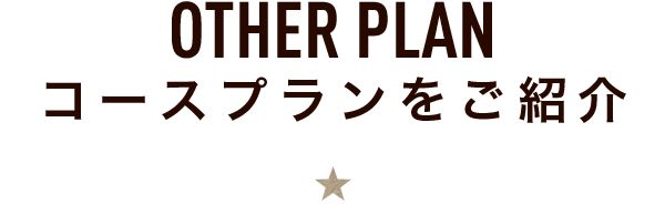 OTHER PLAN